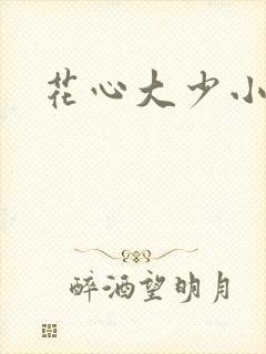 花心大少小说