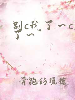 别c我了～c烂了～