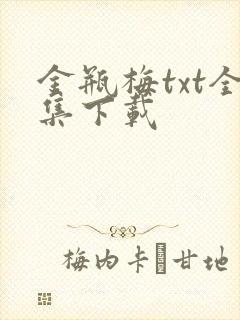 金瓶梅txt全集下载