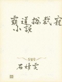 霸道总裁宠上天 小说