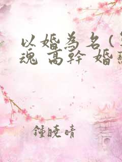 以婚为名 (军魂 高干 婚恋)