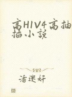 高H1V4高抽插小说