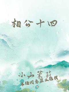 相公十四