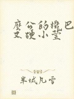 么公的机巴又粗又硬小莹