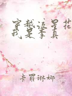 穿越流星花园之我是李真