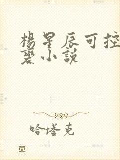 杨星辰可控核聚变小说