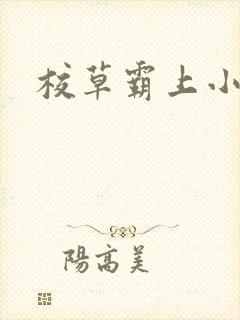 校草霸上小丫头