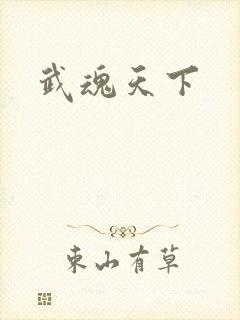 武魂天下