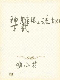 神雕风流txt下载