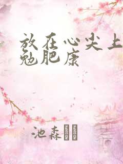 放在心尖上七猫勉肥康