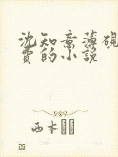 沈知意薄砚霆免费的小说