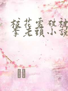 校花处破被灌满李老头小说