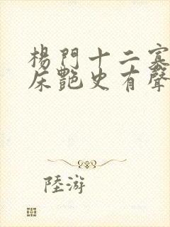 杨门十二寡妇肉床艳史有声小说