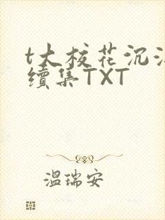 t大校花沉浮录续集TXT
