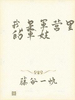 我是军营里万兵的军妓