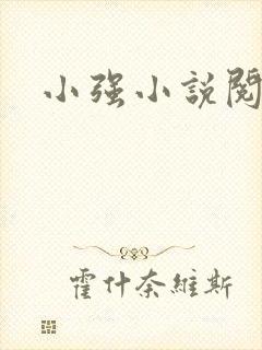 小强小说阅读网