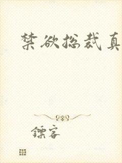 禁欲总裁真能干