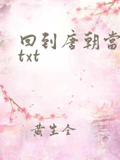 回到唐朝当皇帝txt