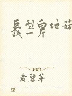 巨型白地菇多少钱一斤