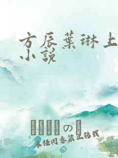 方辰叶琳上官步小说