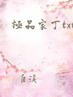 极品家丁txt