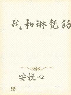 我和琳梵的故事