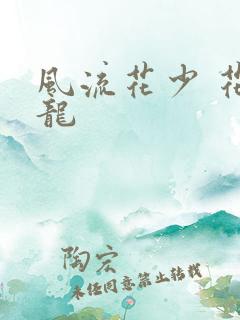 风流花少 花睿龙