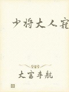 少将大人宠宠我