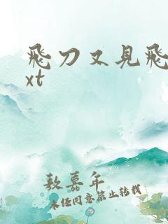 飞刀又见飞刀txt