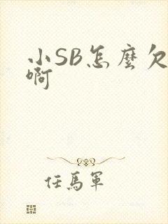 小SB怎么欠C啊
