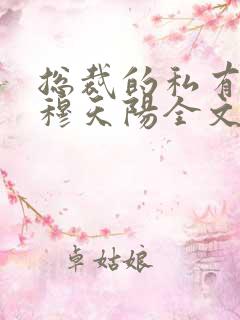 总裁的私有宝贝穆天阳全文阅读