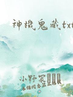 神机鬼藏txt