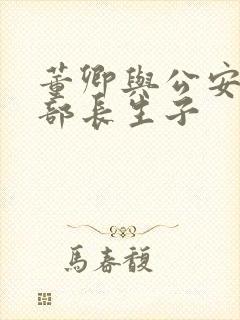 董卿与公安部副部长生子