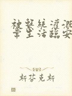 被系统灌溉的日常生活临安