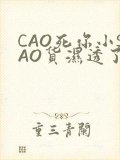 CAO死你小SAO货湿透了学长