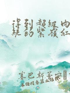 得到超级肉禽系统的紫岭红山