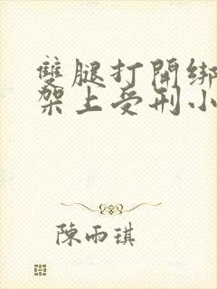 双腿打开绑在刑架上受刑小说