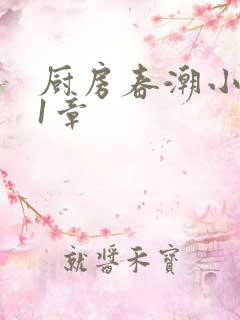 厨房春潮小说第1章