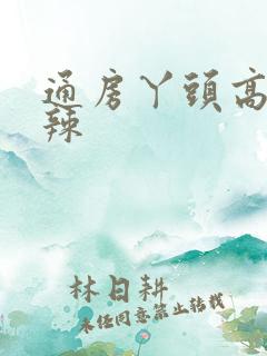 通房丫头高h肉辣