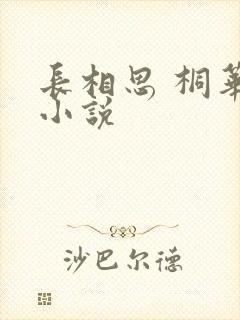 长相思 桐华 小说