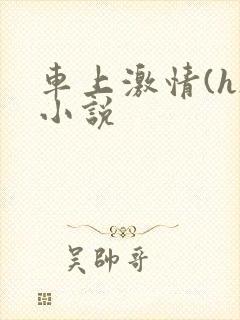 车上激情(h)小说