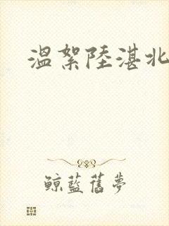 温絮陆湛北