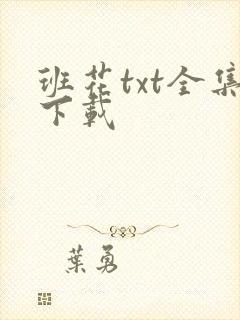 班花txt全集下载