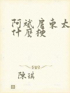 阿斌房东太太是什么梗