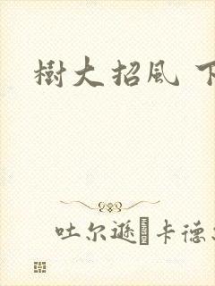树大招风 下载