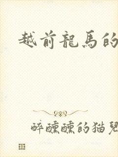 越前龙马的小说