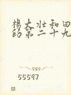 杨大壮和田桂花的第二十九