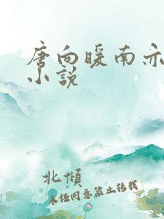 唐向暖南亦琛的小说