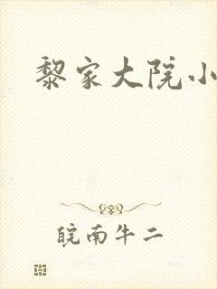 黎家大院小说