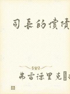 司长的偿债新娘